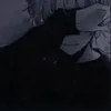 soysad91
