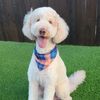 parker_that_dood