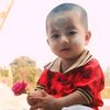 dawwin8738
