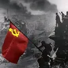 canhcutvuitinh6