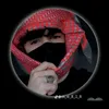 hseen.ahmeed1