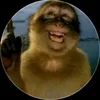 panda_rhycapp22
