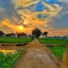 pinda_waly_brand3