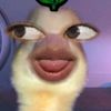 dinskmrk