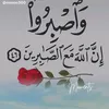 user9905765606947