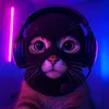 kiber_liga