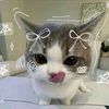 fazil_aay