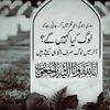 noor.shezad8
