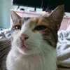 mylittletony925
