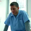 .oztg