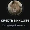 hox9k
