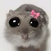 monika_shane