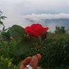 r.buddha09
