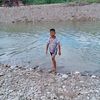 linaladyanggrek