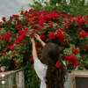 h4naa_136