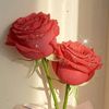 darou.hamad.aly