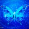 butterfly.de.luz