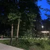 лика