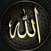 『قـ⃪⃪͢ـٌران|🇵🇸𝑨𝒎𝒂𝒓📚l