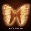 illuminaryvenus