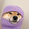 shinjjjjj6