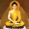 🪷 TỊNH TÂM 🪷