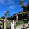 hartoninda