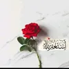 ijlf71