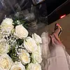 user_d684