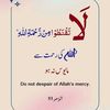 muhammadmamoon94