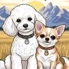 littlebearoutfitters