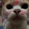 ayunda_549