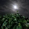 muhamed_5666