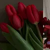 dlen.emad
