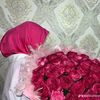 nihaa785