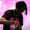 carti33356