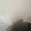 wlya23377