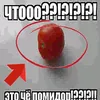 pomidorka228485