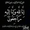user17904226959104