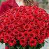 roja04716