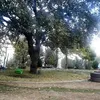muksi.mstafa
