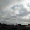 pierina_246