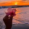 omnia.ebrahem86