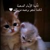 غدر الزمن