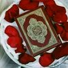 hnin.ali63
