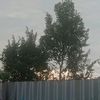 yani70246