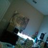 livenmylife4