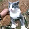 user613223054