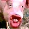 dummymonkeysoww