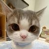 ploy04231
